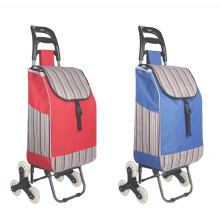 shopping trolley with bag Shopping Trolleys